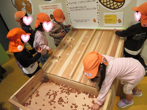 どんぐり落としゲーム