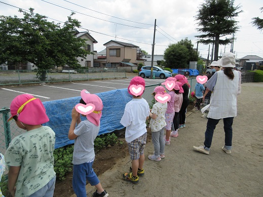 種まきの後に『おおきくなあれ』とおまじないする子どもたち