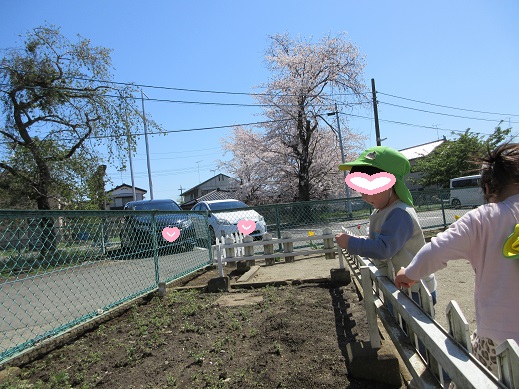 畑に向かい『おおきくなれ』と水やりごっこをする2歳児もも組