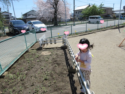 『おおきくなれ』とお花に話しかける2歳児