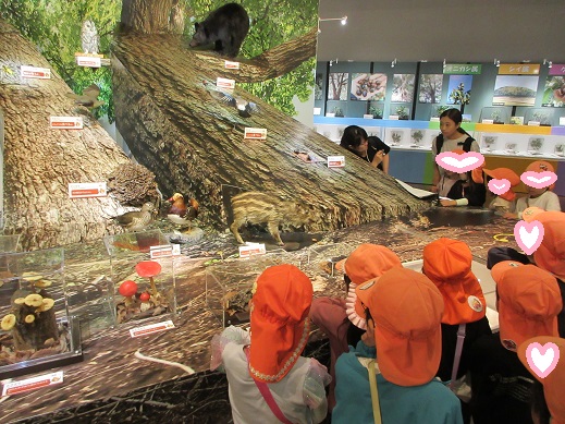 どんぐりを食べる生き物(くまやいのししなど)のコーナー