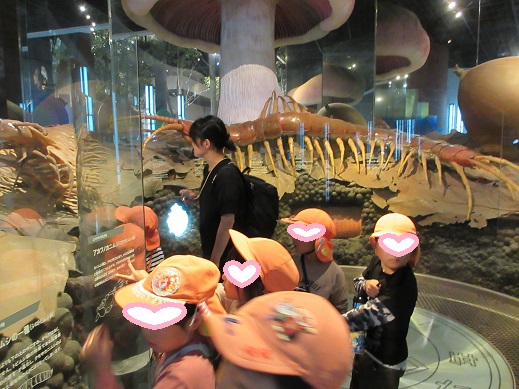 人間が1円玉位に小さくなった時、土の中の生き物が巨大に見えるコーナー