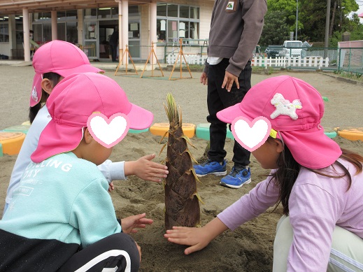 砂場に埋めたタケノコに気づき集まる子どもたち
