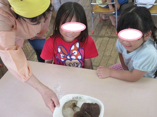水分を含み大きくなったしいたけに驚く様子