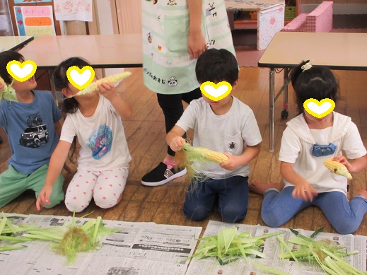 トウモロコシの皮をむく様子