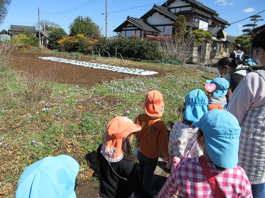 たくさんの草花が迎えてくれました