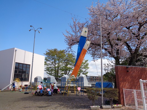 サクラの木の下で泳ぐこいのぼり