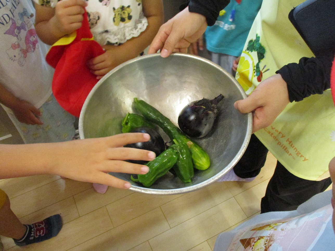 野菜をボールに収穫