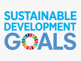 SUSTAINABLE DEVELOPMENT GOALS