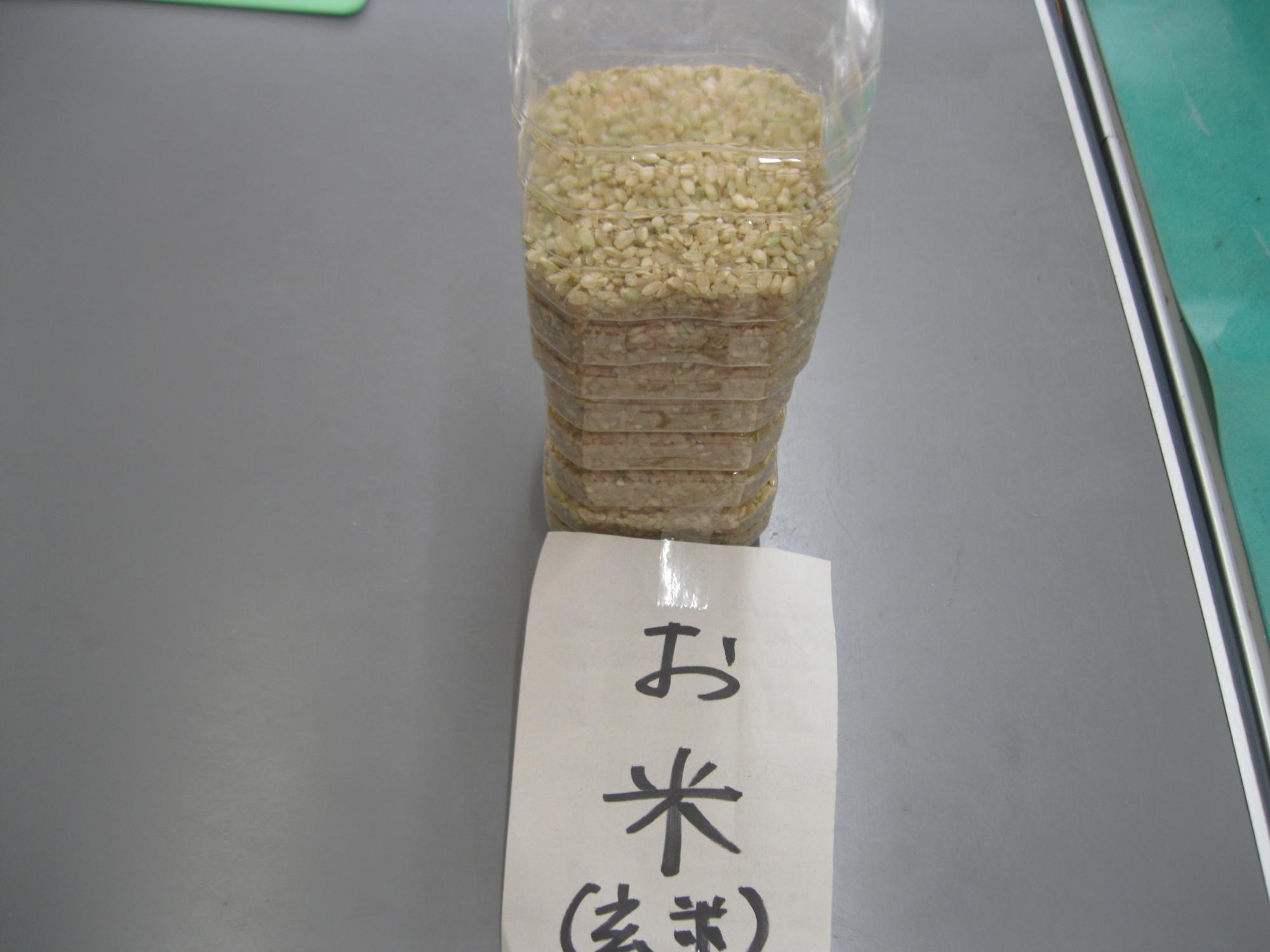 保育所の花壇で育ったお米が3合ほど収穫できました。