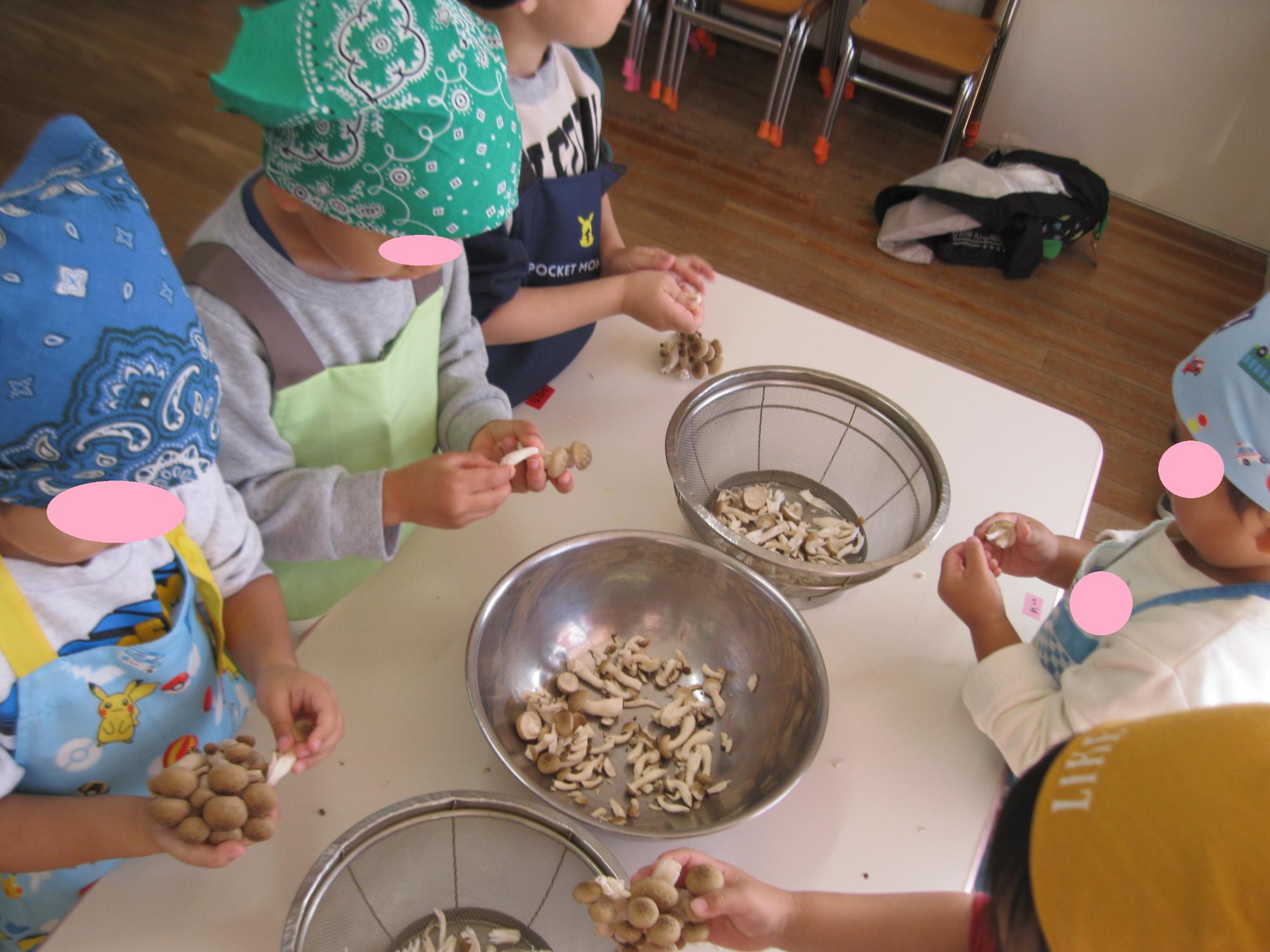 子どもたちがしめじを手で子房にわけているところです。