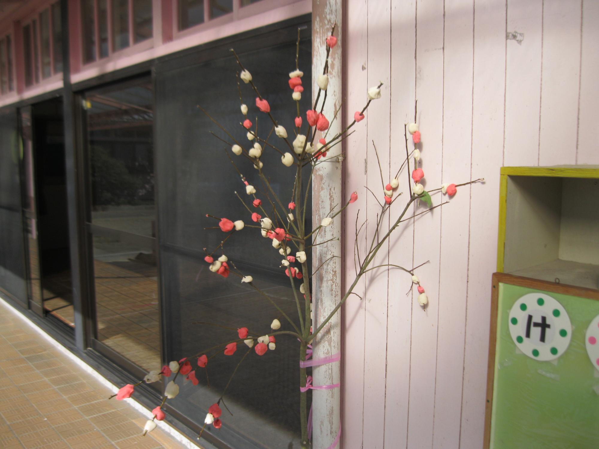 ならせもちの木の写真です。