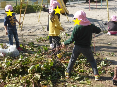 おいものつるでひっぱりっこをする子どもたちの写真