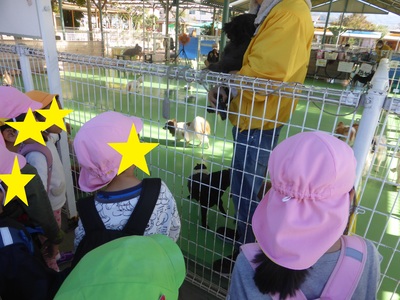 たくさんの大きな犬や小さな犬を見学する子どもたちの写真