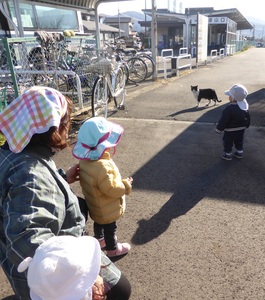 お散歩中にネコに遭遇し興味津々のちゅうりっぷ組の子どもたちの写真