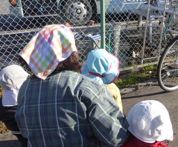 水を飲むネコから目を離せないちゅうりっぷ組の子どもたちの写真