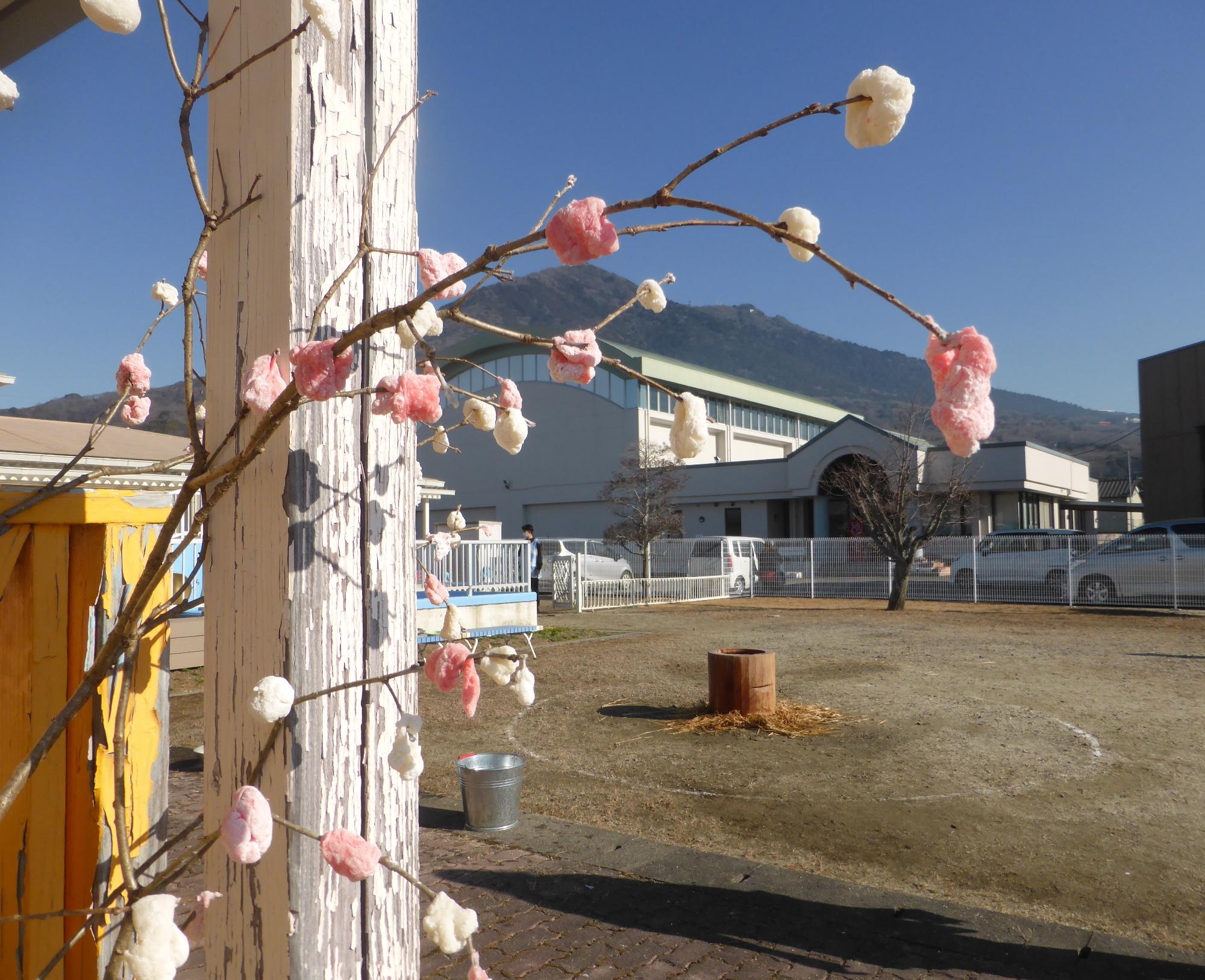 筑波山をバックに紅白のならせもちが飾られています。