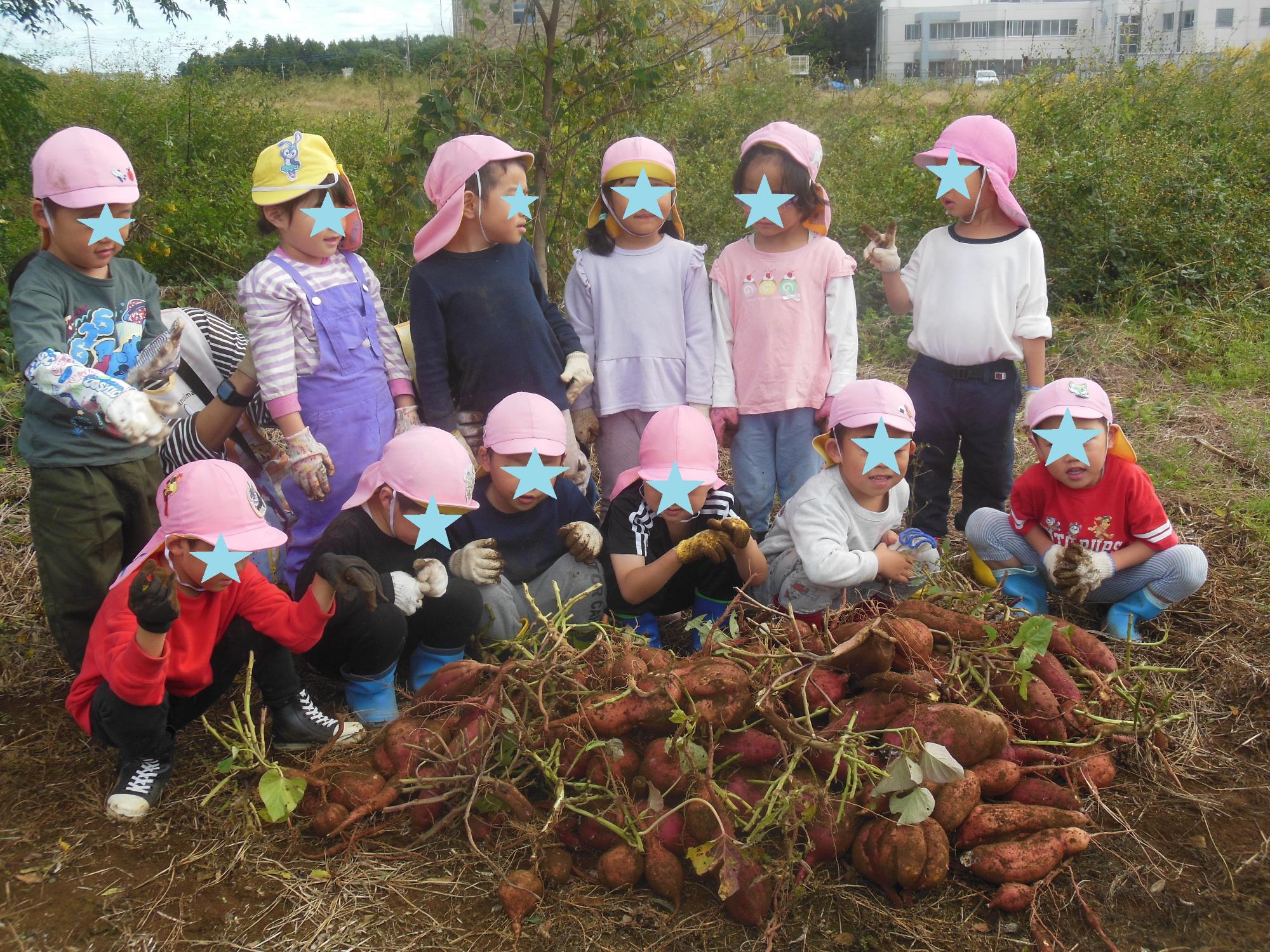 R710サツマイモ7