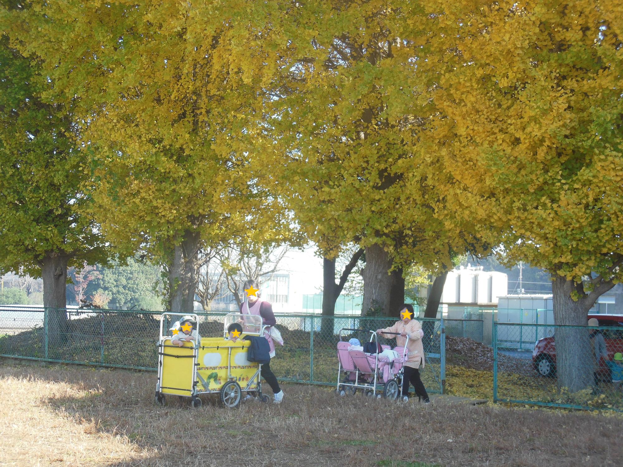 R711ちゅうりっぷ1