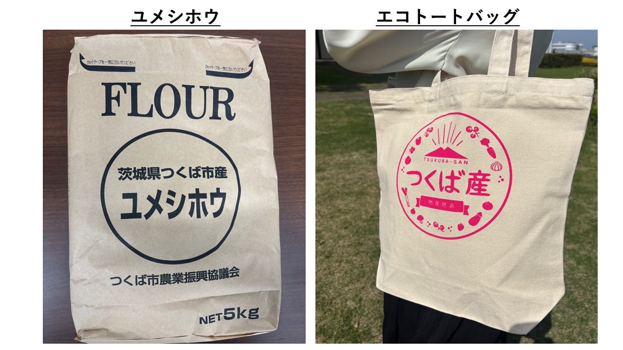 ユメシホウとエコトートバッグ