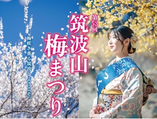 第53回筑波山梅まつりポスター
