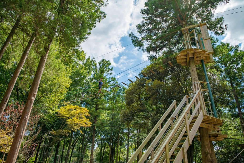 フォレストアドベンチャー