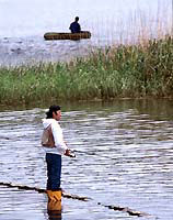 牛久沼で釣りをしている人の写真