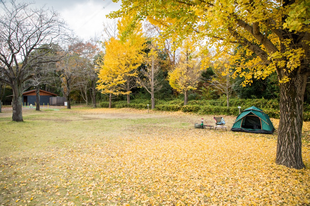 テントサイト