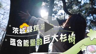 中国人インフルエンサーによる観光案内動画へのリンク