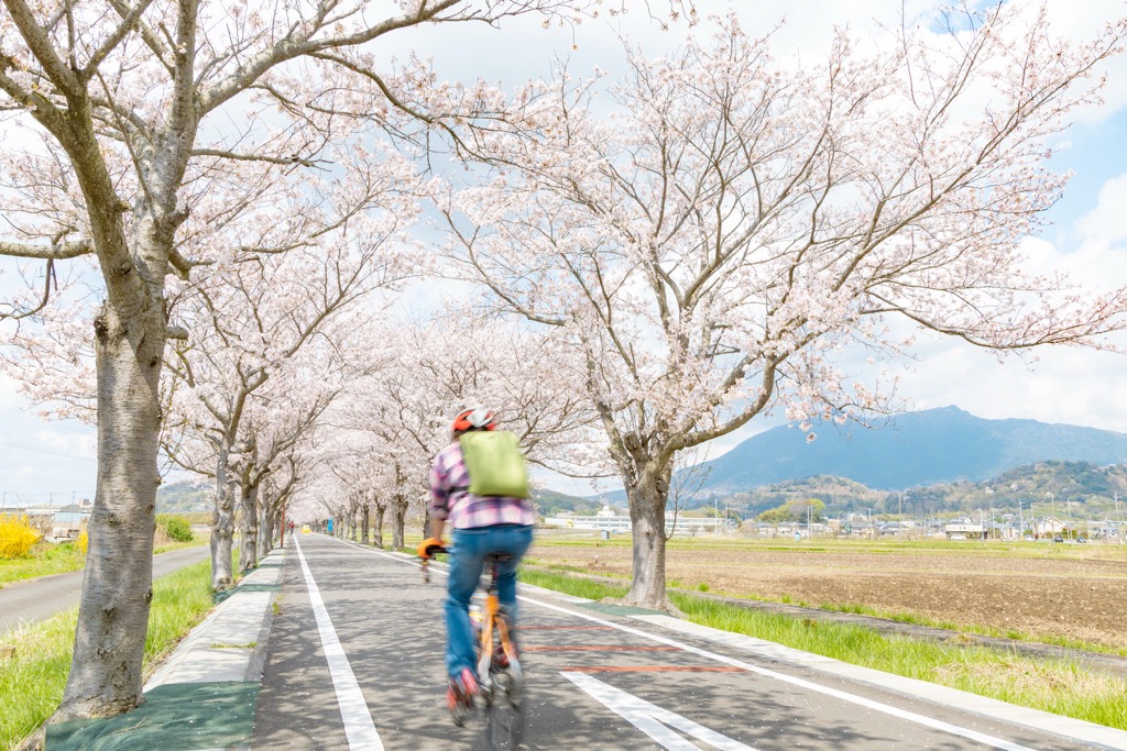 つくば霞ケ浦りんりんロード