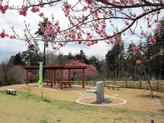 木々に囲まれた園内中央に東屋と水飲み場が設置され、奥と手前に1本ずつ立っている木にピンク色の小ぶりの花が咲いている写真