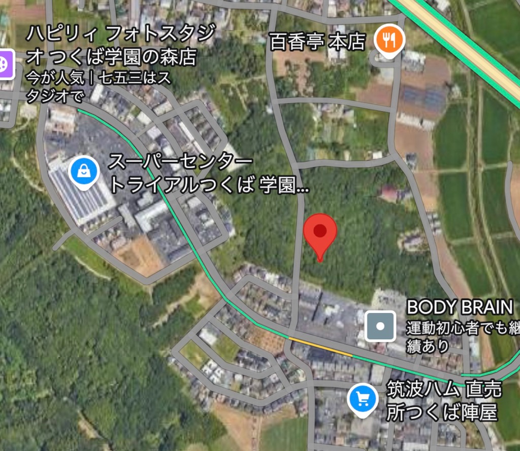 開催場所
