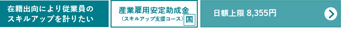 在籍出向により従業員のスキルアップを計りたい方 産業雇用安定助成金（スキルアップ支援コース）へのリンク（厚生労働省のサイト）