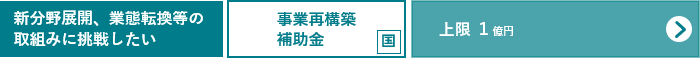 新分野展開、業態転換等の取組みに挑戦したい方 事業再構築補助金へのリンク（事業再構築補助金のサイト）