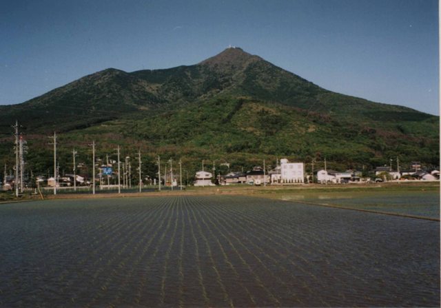 眼下に稲が植えられた田んぼが広がり、筑波山の麓に民家が建ち並んでいる写真
