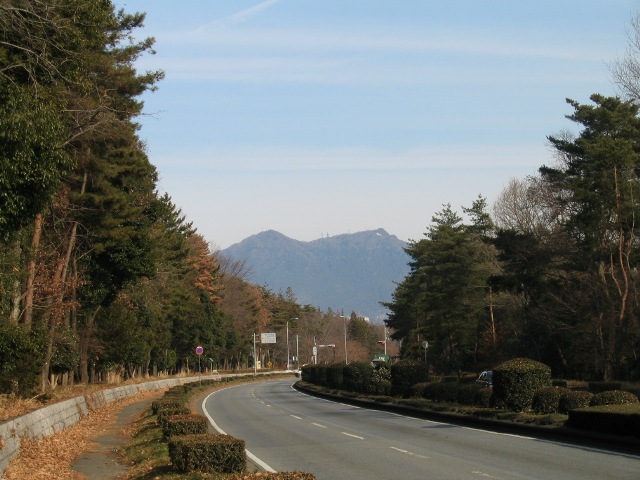 道路の両脇に樹木が植えられ歩道に落ち葉がある学園西大通りと、道路の間から覗く筑波山の写真