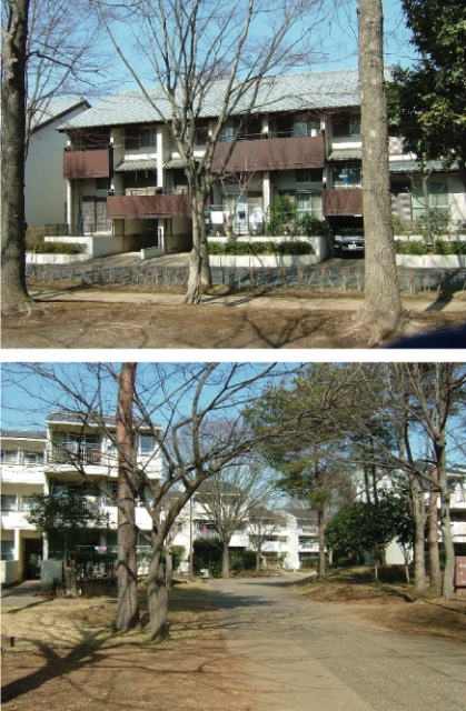 木々の向こう側に2階建てや3階建ての集合住宅が写っている2枚の写真