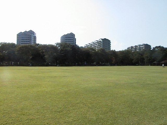 手前に芝生が広がっており、並木を挟んだ向こう側に4つの高層住宅が並んでいる写真