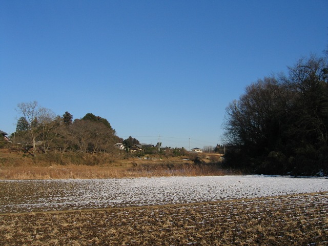 霜柱ができた田畑と、奥の林や住宅を写した写真