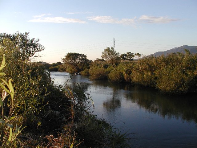右奥に山脈があり、静かに流れる川の両岸には草木が生い茂っている桜川河畔の写真