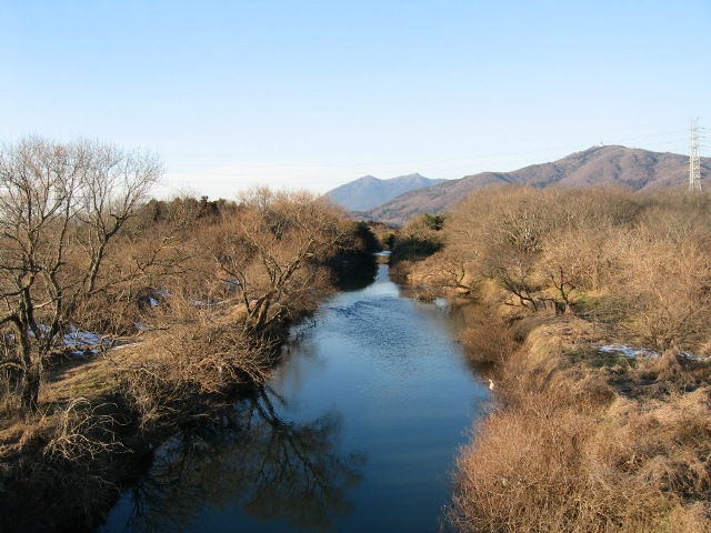 中央に緩やかに流れる桜川と川沿いに河畔林が生い茂り、奥に筑波山がある写真