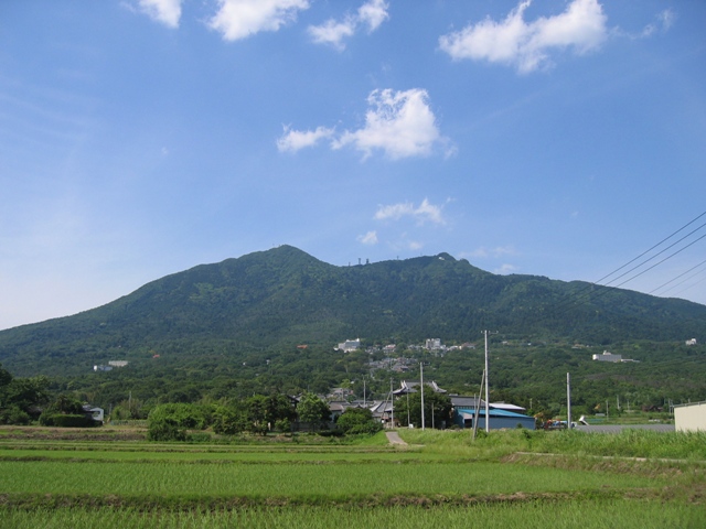 眼下に稲が育った田んぼが広がり、背景に深い緑色をした筑波山の写真