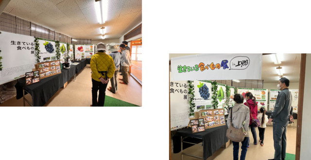 左：「生きている食べもの展」と書かれた展示会を見学している方々の写真。右：「生きている食べもの展in上郷」と書かれた展示会の入り口から入って見学している親子連れなどの見学者の写真