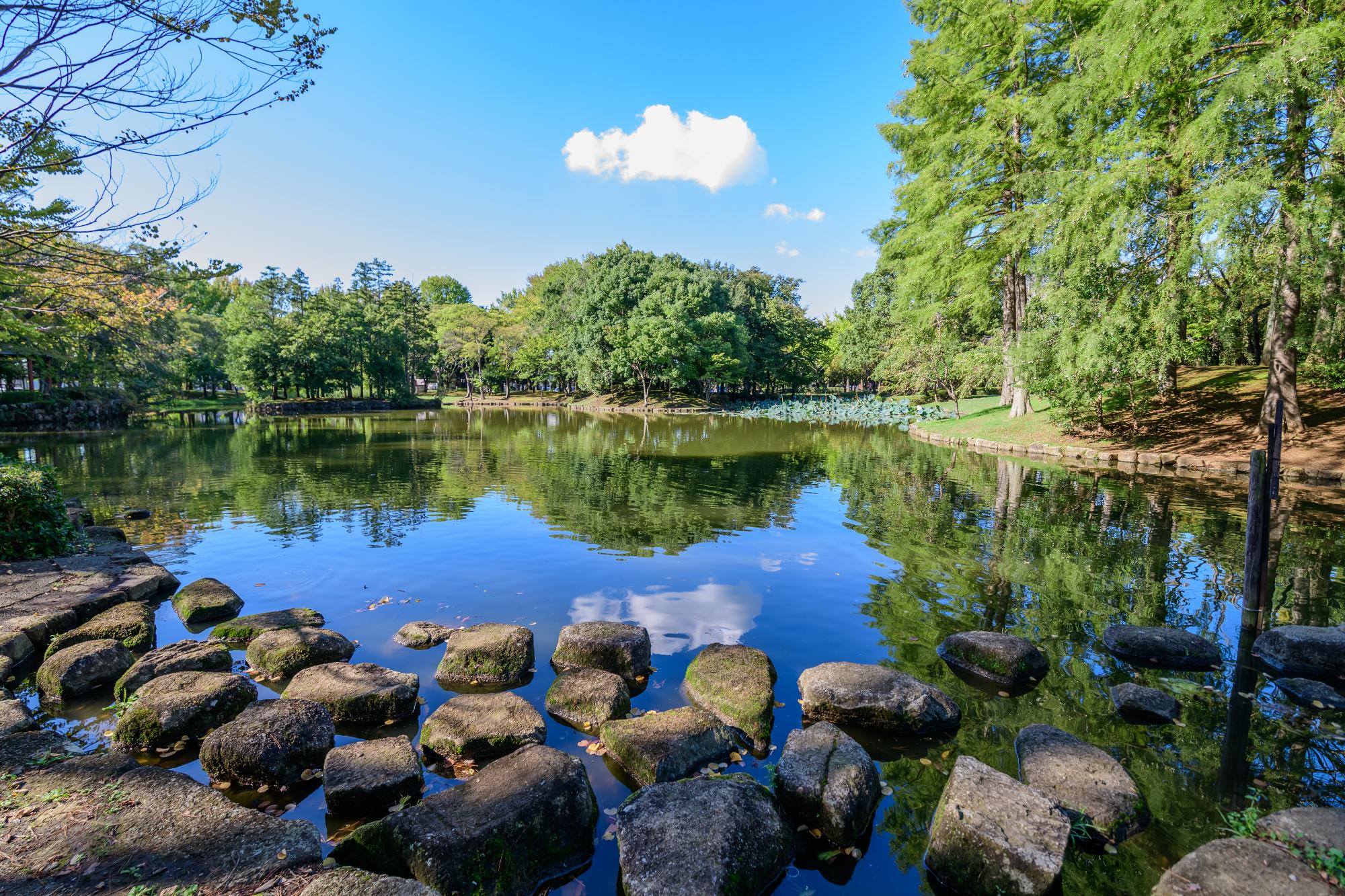 広い池のある松代公園の写真