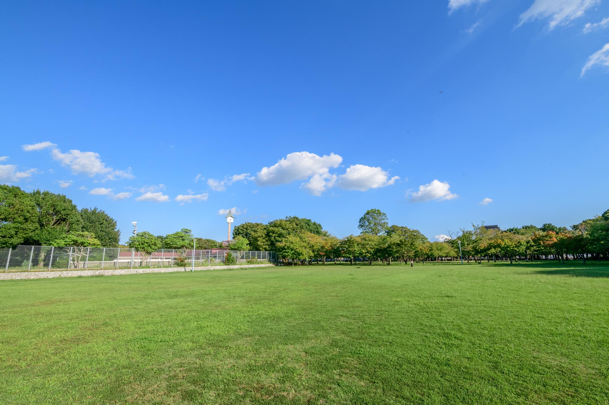 広い芝生の広場と時計台のある二の宮公園の写真