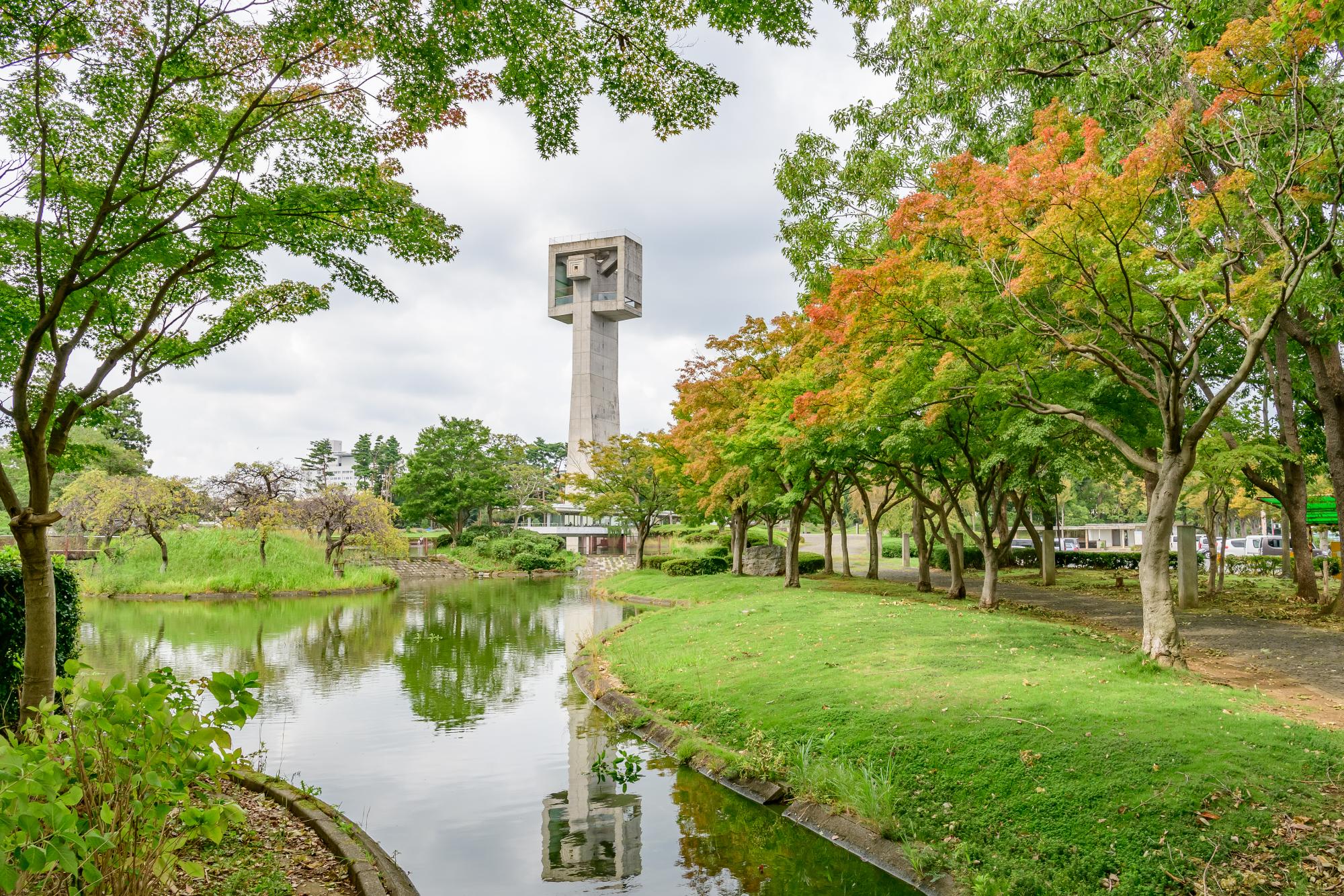 イロハモミジの先に展望塔の見える松見公園の写真