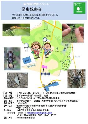 （イメージ）【参加者募集】昆虫観察会in金田台の歴史緑空間