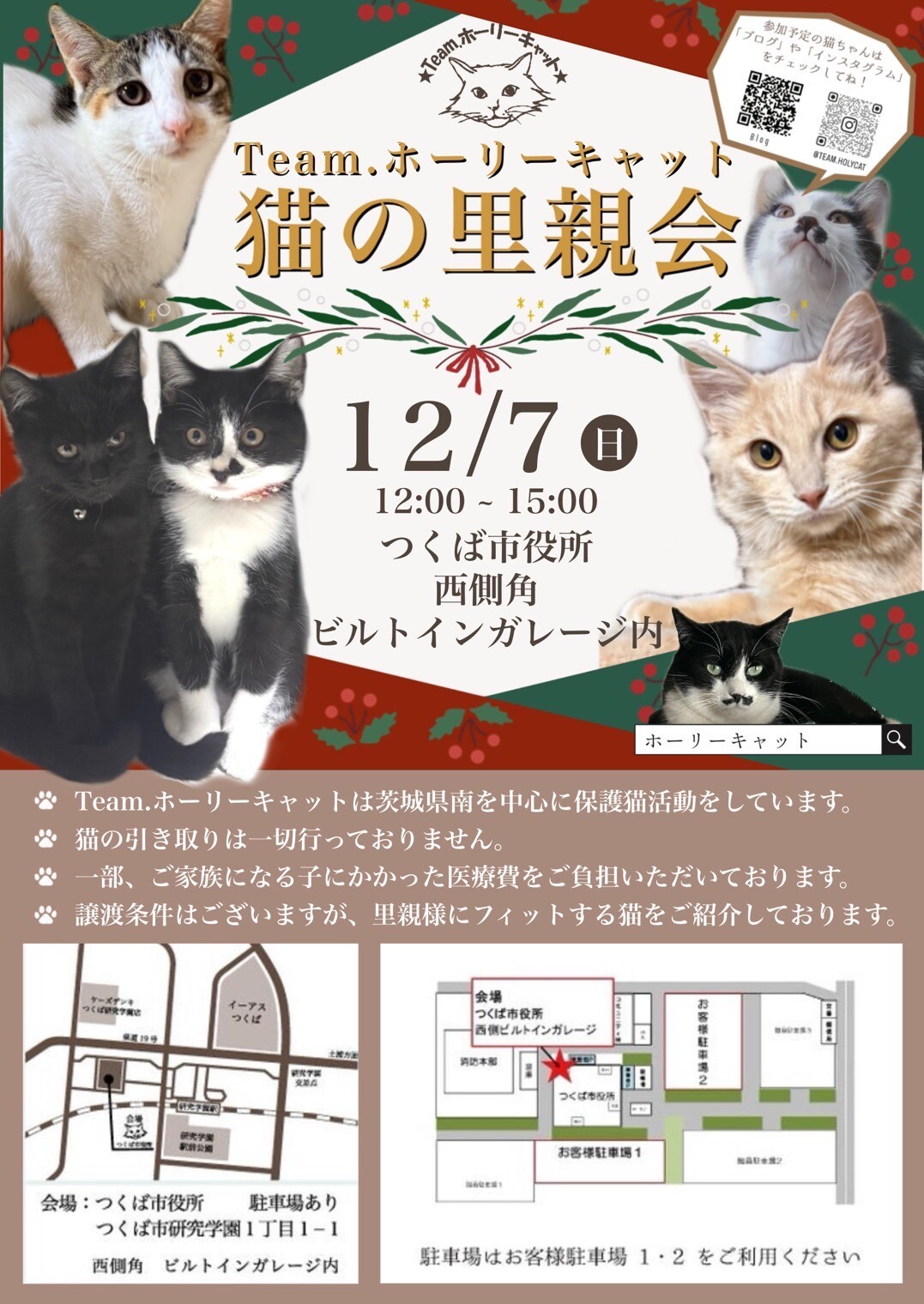 12月7日に開催する譲渡会のチラシ