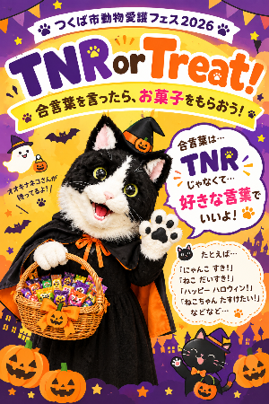 動物愛護フェス2026で実施するイベントTNRorTreatの案内です。