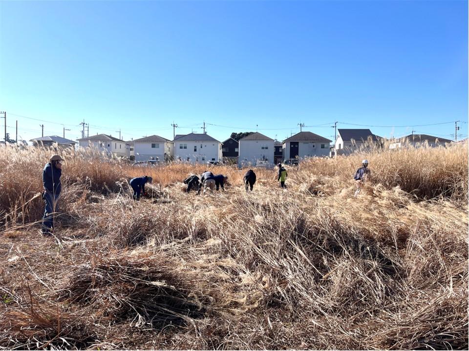 令和6年度の茅刈りの様子